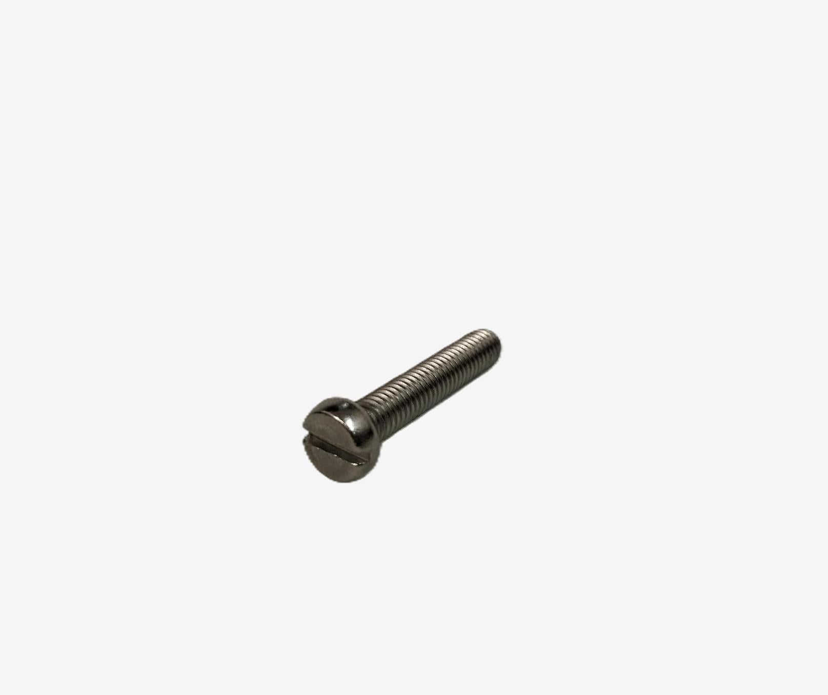 Stainless steel screws for straps